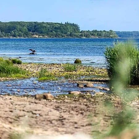 Σπίτι διακοπών Sb53782-aabenraa-lonholt-63